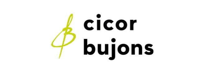 Zusammenarbeit Cicor Bujons