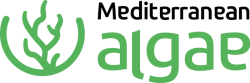 Logo-Mediterranean-Positivo-e1767901490522